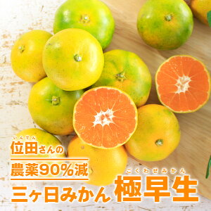 O݂ ɑm_F_90%n 2S~LTCY ʓct@[iINDENt@[j _͔|Ew엿sgpEܕsgpEL@엿͔| OP݂ ɑi킹j