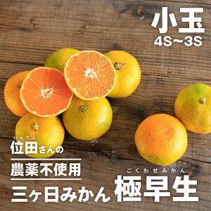 O݂ ɑ ʁm_sgpn 4S~3STCY ʓct@[iINDENt@[j _sgpEw엿sgpEܕsgpEL@엿͔| OP݂ ɑi킹jʓc