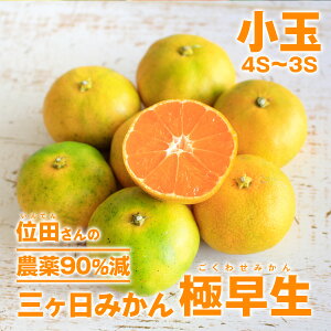 O݂ ɑm_F_90%n 4S~3STCY ʓct@[iINDENt@[j _͔|Ew엿sgpEܕsgpEL@엿͔| OP݂ ɑi킹j