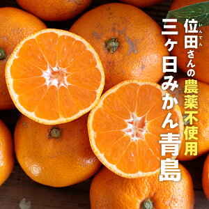 O݂m_sgpEw엿sgpEܕsgpEhܕsgpn ʓct@[iINDENt@[j OP݂ i킹j S~2LTCY ʓc݂ Yn ~Mtg 