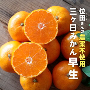 O݂m_sgpEw엿sgpEܕsgpEhܕsgpn ʓct@[iINDENt@[j OP݂ i킹j S~LTCY ʓc݂ Yn ~Mtg 