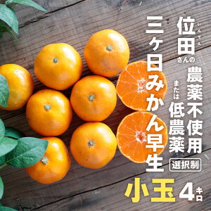 O݂  4kgm_sgp ܂ _n ʓct@[iINDENt@[j OP݂ i킹j3S~4STCY ʂ݂ ʓc݂ Yn _ƒ O ~J