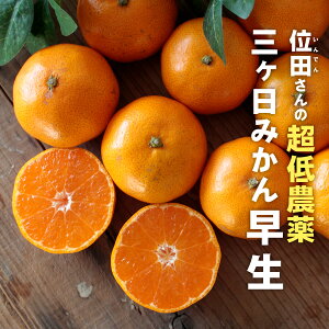 O݂m_EL@엿͔|n ʓct@[iINDENt@[j OP݂ ui킹jv S~LTCY w엿sgpEܕsgp ʓc݂ Yn _ƒ ~