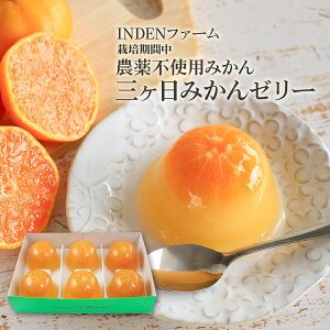 m󂠂Ezn_sgpO݂[[6 INDENt@[̎OP݂[[ ʓc݂񉀂̊V݂[[@iܖ12܂ł̖󂠂ij