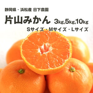 _̕ЎR݂ STCY MTCY LTCY TCYI 3kg 5kg 10kgmÉElnmYn _ƒn~Mtg Ε 蕨  ̂ l ~J  Â݂ S M L