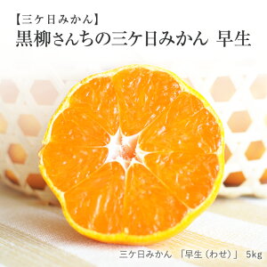 O݂m_EL@엿͔|n 񂿂 OP݂ ui킹jv 5kg