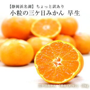 O݂ Ɩ󂠂I OP݂  5LᎩp S`3S݁mn