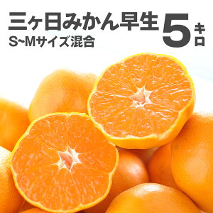 OP݂ (킹) 5kgmnÂƎ_̃oXǂ݂ Y ÉY O݂ ZŊÂ ~J W[V[ŉʓՂ Yn S~LTCY