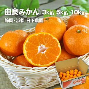 ݂ _̗Rǂ݂ 3kgA5kgA10kgiɑj񂹃OmÉElnmYn _ƒn