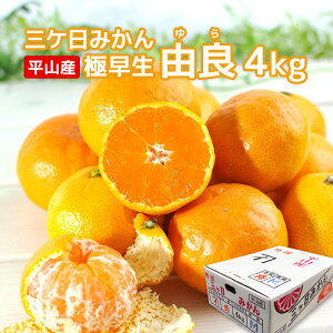 mO݂nOP݂ R 4kgiTCY2S`Mj݂񉀂̗Rǂ݂ É O RY ÂĔZ Gi 