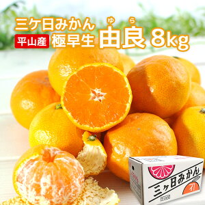 mO݂nOP݂ R 8kgiTCY2S`Mj݂񉀂̗Rǂ݂ É O RY ÂĔZ Gi 