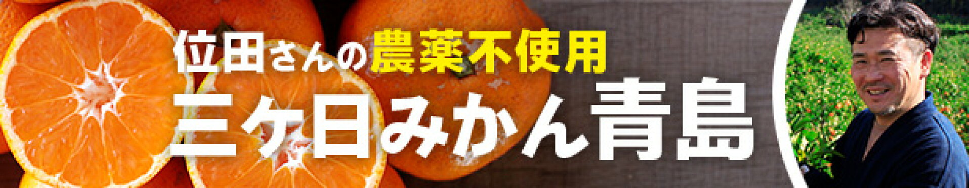 位田さんの三ヶ日みかん「青島」