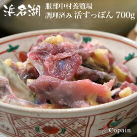 活スッポン ［浜名湖産］老舗服部中村養鼈場の活すっぽん一匹 700g（調理済み）