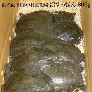 ܂܂͂ImlΎYnVܕ{ꈏ ۂ C 800g