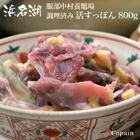 活スッポン［浜名湖産］老舗服部中村養鼈場の 活すっぽん 一匹 800g（調理済み）