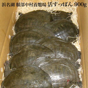 ܂܂͂ImlΎYnVܕ{ꈏ ۂ C 900g