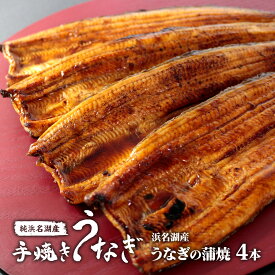 お中元・土用の丑［浜名湖うなぎ ］手焼き 国産うなぎの蒲焼 浜名湖産うなぎ100％ 化粧箱 掛け紙対応 熨斗対応可 産地直送 即日発送 うなぎギフト お中元 土用の丑の日