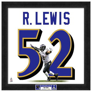   NFL CuY CECX tHg t@C/Photo File UNIFRAME 20 x 20 Framed Photographic