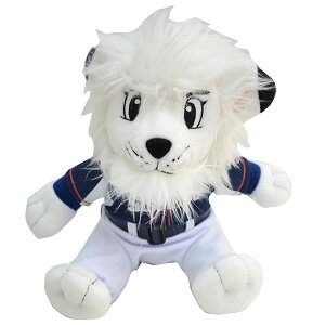  ʐCIY }XRbgʂ 背IS@rW^[jtH[Ver.