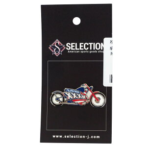 NFL 36X[p[{E (oCN) PSGy1910iύXz