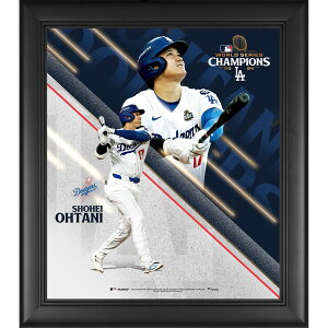MLB Jĕ hW[X tHgt[ yCOŁz[hV[Y2024DLO Framed 15 x 17 Collage Fanatics Authentic