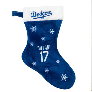 MLB Jĕ hW[X NX}X \bNX Embroidered Sox FOCO