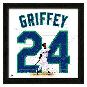 MLB }i[Y PEOtB[JR. tHg t@C/Photo File UNIFRAME 20 x 20 Framed Photographic