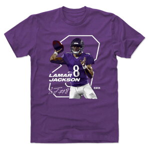 NFL ���}�[�E�W���N�\�� ���C�u���Y T�V���c Player Art Cotton T-Shirt 500Level �p�[�v��