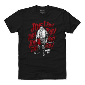 WWE �T���A�E�W���[ T�V���c Player Art Cotton T-Shirt 500Level �u���b�N�yOCSL�z