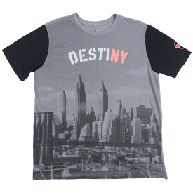 JORDAN カーメロ・アンソニー Tシャツ Jordan Dri-Fit Melo Destiny T-Shirt ナイキ/Nike【OCSL】