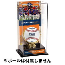 楽天市場】ワールドシリーズ ボールの通販