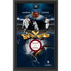 MLB アーロン・ジャッジ ヤンキース 直筆サイン ボール ディスプレイ 2022 AL MVP受賞記念 最優秀選手 ア・リーグ
