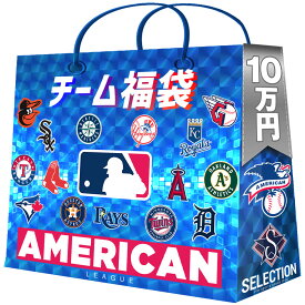 MLB チーム福袋 2024 ア・リーグ 10万円 セレクション American League 福袋 予約商品