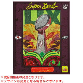NFL チーフス vs イーグルス 第59回スーパーボウル 進出 公式プログラム ニューオリンズ Program