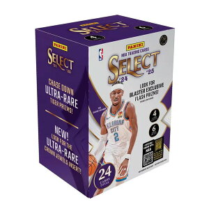 NBA VCEMWXANT_[ INz}VeBET_[ g[fBOJ[h{bNX yntiz2024-25 Panini