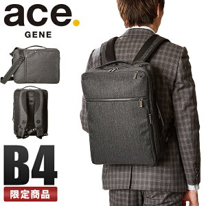 �y5H���荋�؃v���[���g 5/16 19���`�z���T�t�� 5�N�ۏ� �G�[�X�W�[�� �r�W�l�X�����b�N �r�W�l�X�o�b�O �����Y �u�����h �ʋ� ���� ���^ ���}�` A4 B4 14L PC 15�C���` 3WAY ace.GENE 62774 �y�݌Ɍ���z