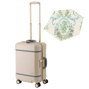 yő58{b11/5zy10Nۏ؁{TtzG[X ng m[g X[cP[X @ STCY SS 31L  y  킢 Xgbp[t fB[X uh 23 ACE HaNT