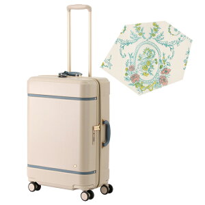 y5H荋؃v[gb11/16 19`zy10Nۏ؁{TtzG[X ng m[g X[cP[X MTCY 50L  y ^  킢 Xgbp[t fB[X uh ACE HaNT N