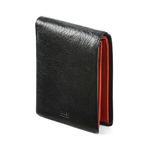 y24H聚ő52{b11/25zTt ^PILN` z ܂z Y uh U[ {v TAKEO KIKUCHI 177624 tppr