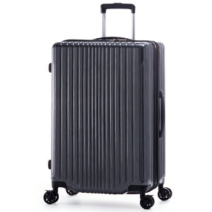 y5H荋؃v[gb9/28 19`zTtbAWAQ[W X[cP[X LTCY LL 100L  158cmȓ y g ^ e Xgbp[t tBpP A.L.I Asia Luggage FiLPake ali-6060-