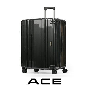 yő32{zTtbG[X X[cP[X LTCY 100L ^ e  158cmȓ ACE 06789 L[P [X L[obO L[P[X acecp