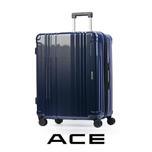 yő53{b9/5zTtbG[X X[cP[X LTCY 100L ^ e  158cmȓ ACE 06789 L[P [X L[obO L[P[X acecp