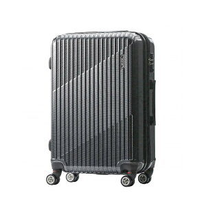 �y�ő�47�{�b12/15����z���T�t�� �G�[�X �N���X�^ �X�[�c�P�[�X M�T�C�Y 64L 70L �g���@�\�t�� ACE 06317 �L�����[�P�[�X acecp