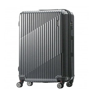 �y5H���荋�؃v���[���g 12/16 19���`�z���T�t�� �G�[�X �N���X�^ �X�[�c�P�[�X L�T�C�Y 83L 93L �g�� ��e�� ACE 06318 �L�����[�P�[�X acecp