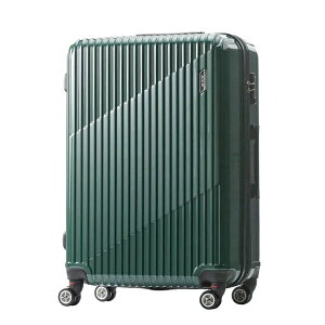 yő55{b12/5zTt G[X NX^ X[cP[X LTCY 83L 93L g e ACE 06318 L[P[X acecp