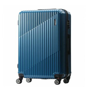 yő53{b9/20zTtbG[X X[cP[X LTCY 83L/93L  158cmȓ g@\t ACE NX^ 06318 L[P[X L[obO acecp
