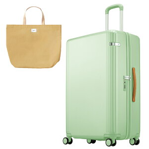 yő49{b11/10z10Nۏ G[X X[cP[X g[L[[x t@[jbgZ 88L e ^ y É Xgbp[t ACE ace.TOKYO Furnit-Z 05044 L[P[X L[obO acecp