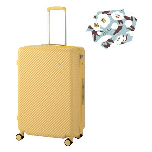 y5H荋؃v[gb10/26 19`zG[X ng RRg X[cP[X MTCY LTCY 75L Xgbp[t  y ^ ^ e  킢 HaNT KOKONT 05515 L[P[X ace