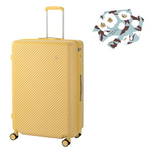 yő41{b11/15zTt G[X ng RRg X[cP[X LTCY 97L  158cmȓ Xgbp[t  y ^ e  킢 HaNT KOKONT 05516 L[P[X trpp