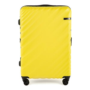 y5H荋؃v[gb11/23 19`zG[X I[o2 X[cP[X LTCY LL 90L 111L 158cmȓ  g@\ y e ACE 05913 acecp